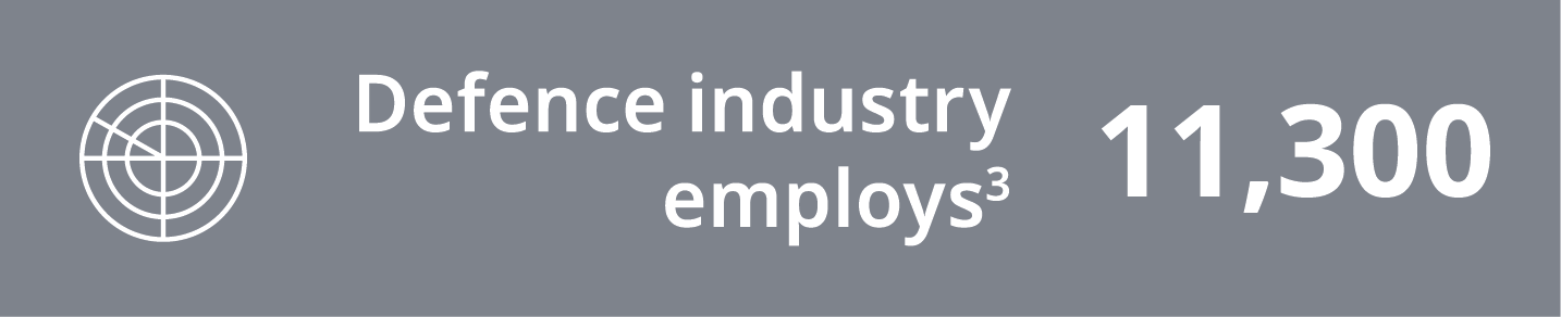 Defence industry employs 11,300