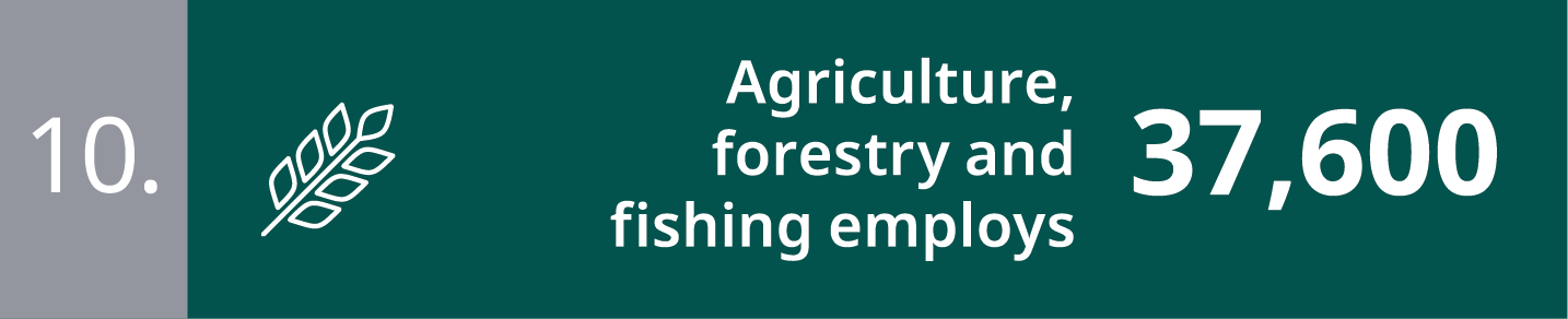 10. Agriculture, forestry and fishing employs 37,600