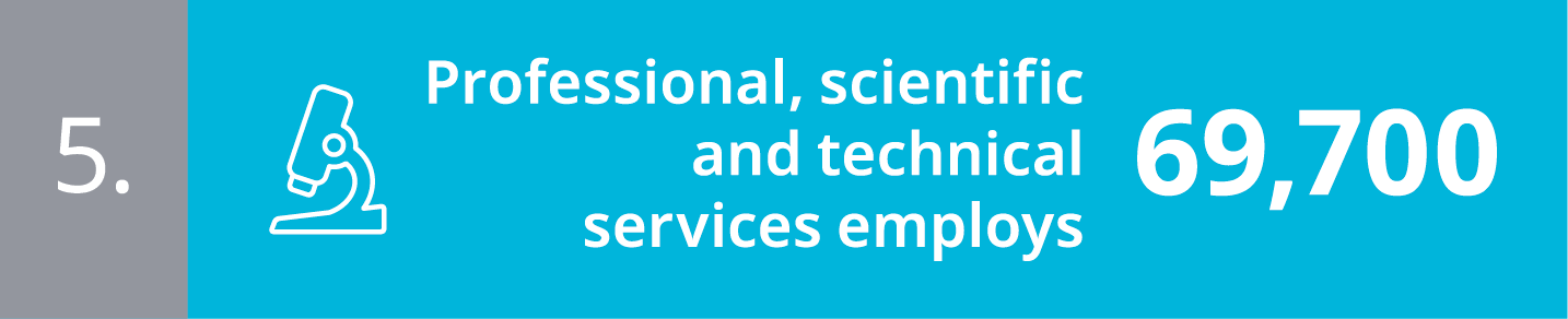 5. Professional, scientific and technical services employs 69,700